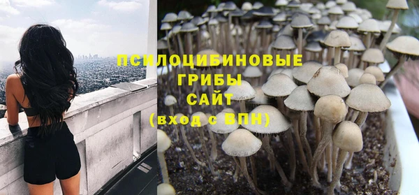 гашик Алзамай