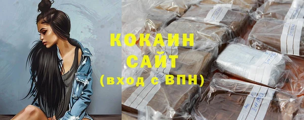 гашик Алзамай