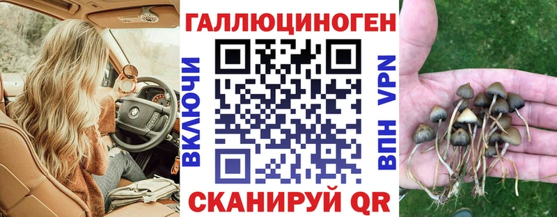 купить  цена  Пошехонье  Псилоцибиновые грибы GOLDEN TEACHER 